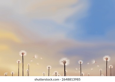 dandelion flowers in the field with cloudy sky background