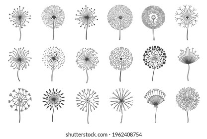 Dandelion flowers. Fluffy meadow flower with seeds. Summer natural floral fluff silhouette. Line blossom decorative logo elements vector set. Herbal or botanical blooming fragile plant