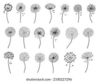 Dandelion flowers with fluffy seed hand drawn vector silhouette set. Various blowing dandelion plants, black and white sketch style drawing. Floral botanical logotype elements.