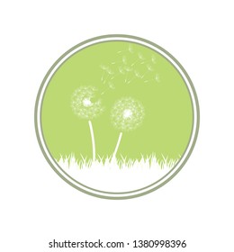 dandelion flowers and grass, green vector logo icon