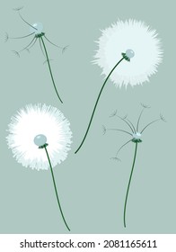 dandelia herbal azul bello verano flora romántica vectorial naturaleza ilustración primavera floral blanca