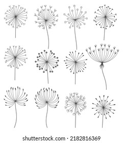 Dandelion flowers set in black linear style. Nature floral hand drawn stylized decorative blooming silhouettes of fluffy seeds flowers. Various of pencil sketched monochrome design elements