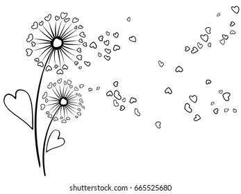 Dandelion flowers summer vector card. Heart shaped feather, leaves, flying petals. Black and white illustration. Seasonal blow ball pattern for banner, print. Love symbols design. Meadow blossom.