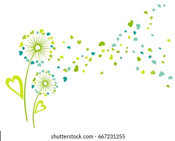 Dandelion flowers summer vector card. Heart shaped feather, leaves, flying petals. Colorful illustration with white background. Seasonal blow ball pattern. Love symbols design.