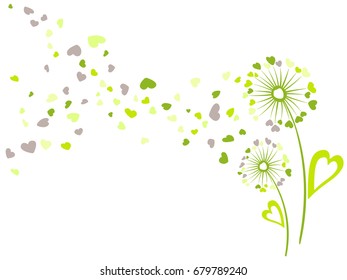 Dandelion flowers summer vector cardin green and grey colors. Heart shaped feather, leaves, flying petals. Colorful illustration with white background. Seasonal blow ball pattern. Love symbols design.