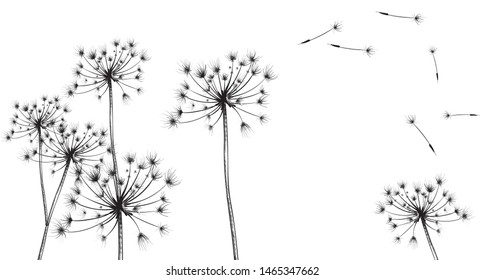 Dandelion flowers Vector line art. Floral ink texture summer decor background