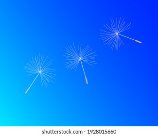 Dandelion Fluff Blowing in a Blue Sky Vector