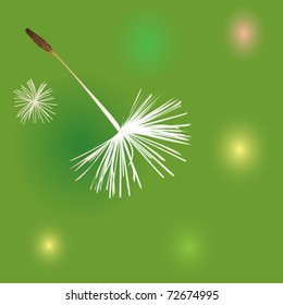 dandelion fluffs over green background