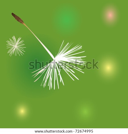 dandelion fluffs over green background