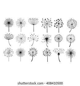 Dandelion Fluffy Seeds Flowers . Hand Drawn Doodle Style Black And White Drawing Vector Icons Set 