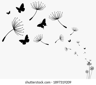 Dandelion with flying butterflies and seeds, vector illustration