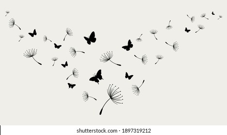 Dandelion with flying butterflies and seeds, vector illustration