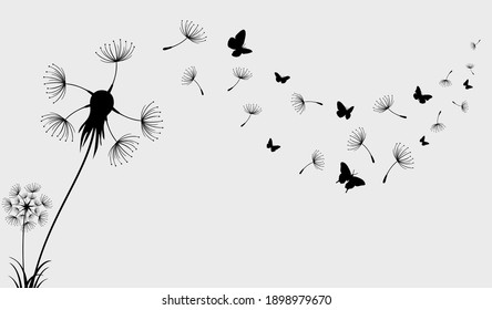 Dandelion with flying butterflies and seeds, vector illustration