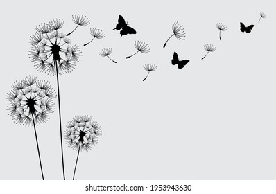 Dandelion with flying butterflies and seeds, vector illustration. Vector isolated decoration element from scattered silhouettes