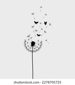 Dandelion with flying butterflies and seeds, vector illustration. Vector isolated decoration element from scattered silhouettes