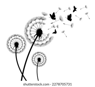 Dandelion with flying butterflies and seeds, vector illustration. Vector isolated decoration element from scattered silhouettes