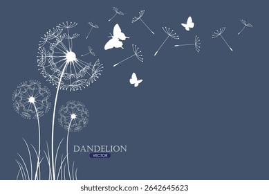 Dandelion with flying butterflies and seeds, vector illustration.