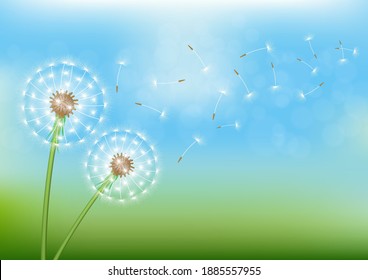 Dandelion with flying seed on sky. Vector illustration