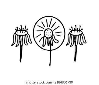 Dandelion with flying seeds, flower. Vector Illustration for printing, backgrounds, covers, packaging, greeting cards, posters, stickers, textile and seasonal design. Isolated on white background.