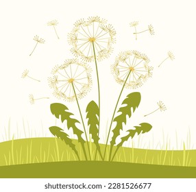 Dandelion with flying seeds in meadow, summer illustration. Abstract flowers dandelions plants. Botany floral nature design for postcard, sticker, poster invitation, wedding card, poster, cover vector