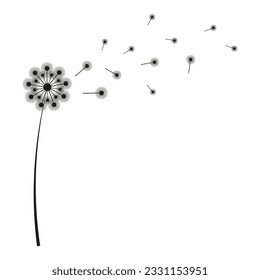Dandelion with flying seeds, vector illustration.