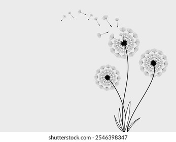 Dandelion with flying seeds, vector illustration. Vector isolated decoration element from scattered silhouettes.