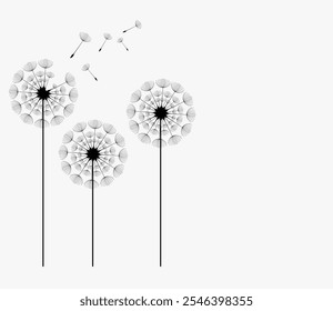 Diente de león con semillas voladoras, Ilustración vectorial. Vector aislado elemento de decoración de siluetas dispersas.