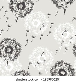 Kronleuchter mit fliegenden Samen, Vektorgrafik auf nahtlosem Hintergrund, Blumengrafik einzeln auf weißem Hintergrund