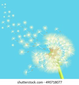 dandelion flying in the wind vector illustration