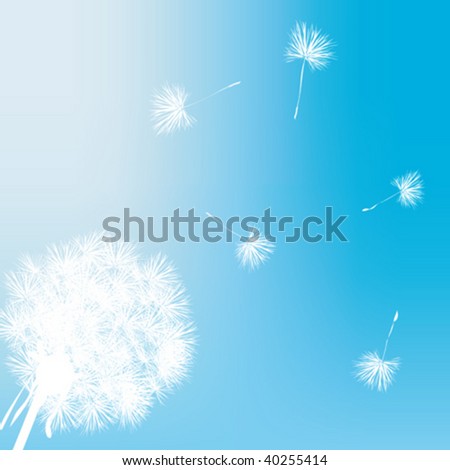 Dandelion gift card illustration