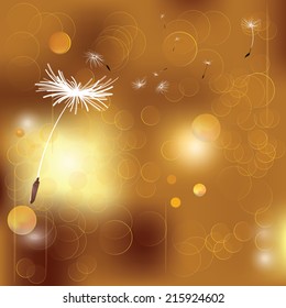 dandelion and gold bokeh background vector