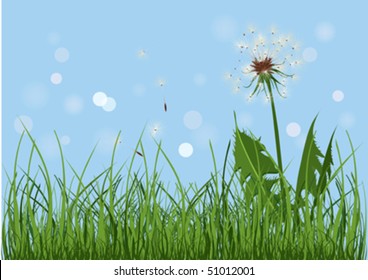 Dandelion in grass. Nature background vector.