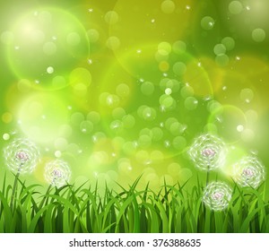 Dandelion in the grass on a green background. Vector illustration.