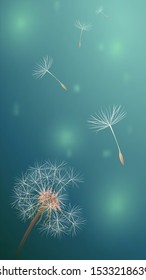 Dandelion in Green vertiсal blur backdrop. Bokeh light on summer season illustration. Closeup blowball with flying fluff field. Copy space mobile banner vector concept.