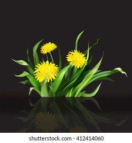 dandelion, green grass, yellow flower illustration, isolated detailed vector, symbol of summer, spring, icon, bloom