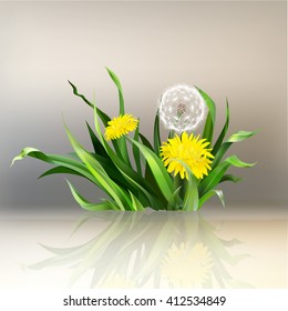 dandelion, green grass, yellow flower illustration, isolated detailed vector, symbol of summer, spring, icon, bloom
