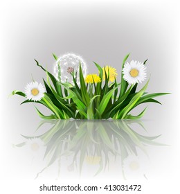 dandelion, green grass, yellow flower illustration, isolated detailed vector