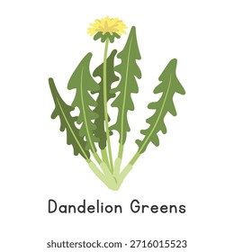 Dandelion Greens Flat Cartoon Vector Illustration Isolated on White Background