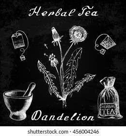 Dandelion hand drawn sketch botanical illustration. Vector drawing. Herbal tea elements - tea bag, bag, mortar and pestle. Medical herbs. Lettering in English languages. Effect chalk board
