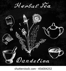 Dandelion hand drawn sketch botanical illustration. Vector drawing. Herbal tea elements - cup, teapot, kettle, tea bag, bag, mortar and pestle. Medical herbs. Lettering in English. Effect chalk board
