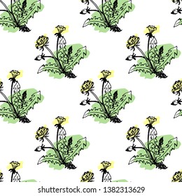 Dandelion. Hand drawn vector illustration.