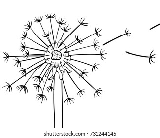 Dandelion. He is flying. the black. Manual drawing. For your design.