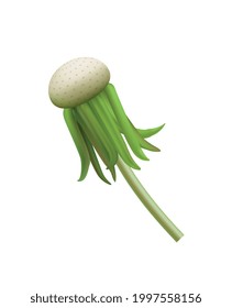 Dandelion head without seeds realistic icon vector illustration
