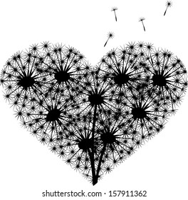 dandelion heart
