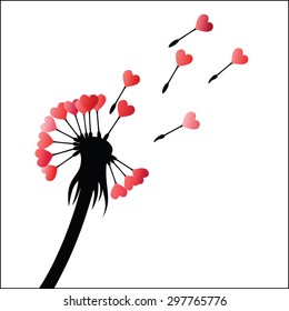 Dandelion heart seeds