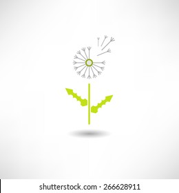 Dandelion Icon