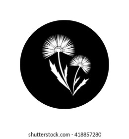 Dandelion icon vector illustration
