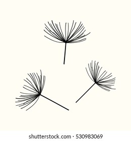 dandelion Icon Vector Illustration