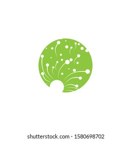 Dandelion icon Vector Illustration design Logo template
