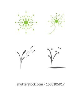 Dandelion icon Vector Illustration design Logo template